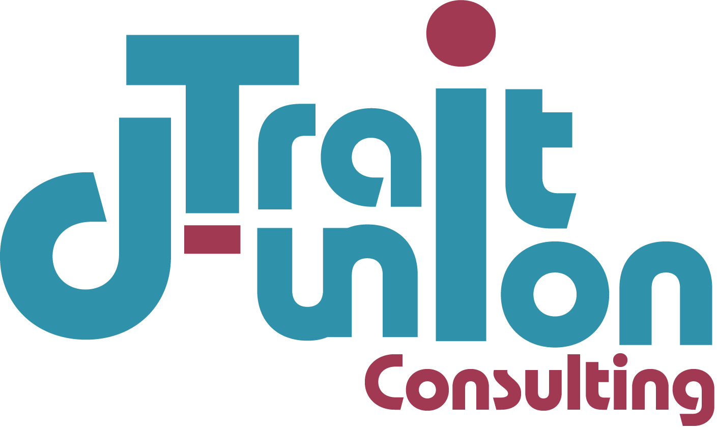 Trait d'Union Consulting